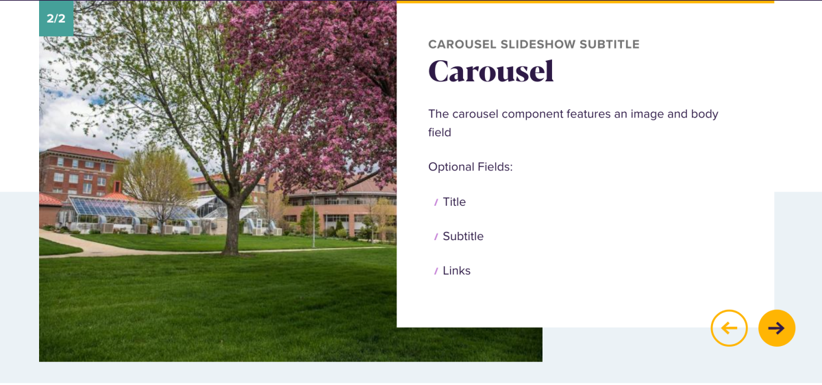 Carousel example